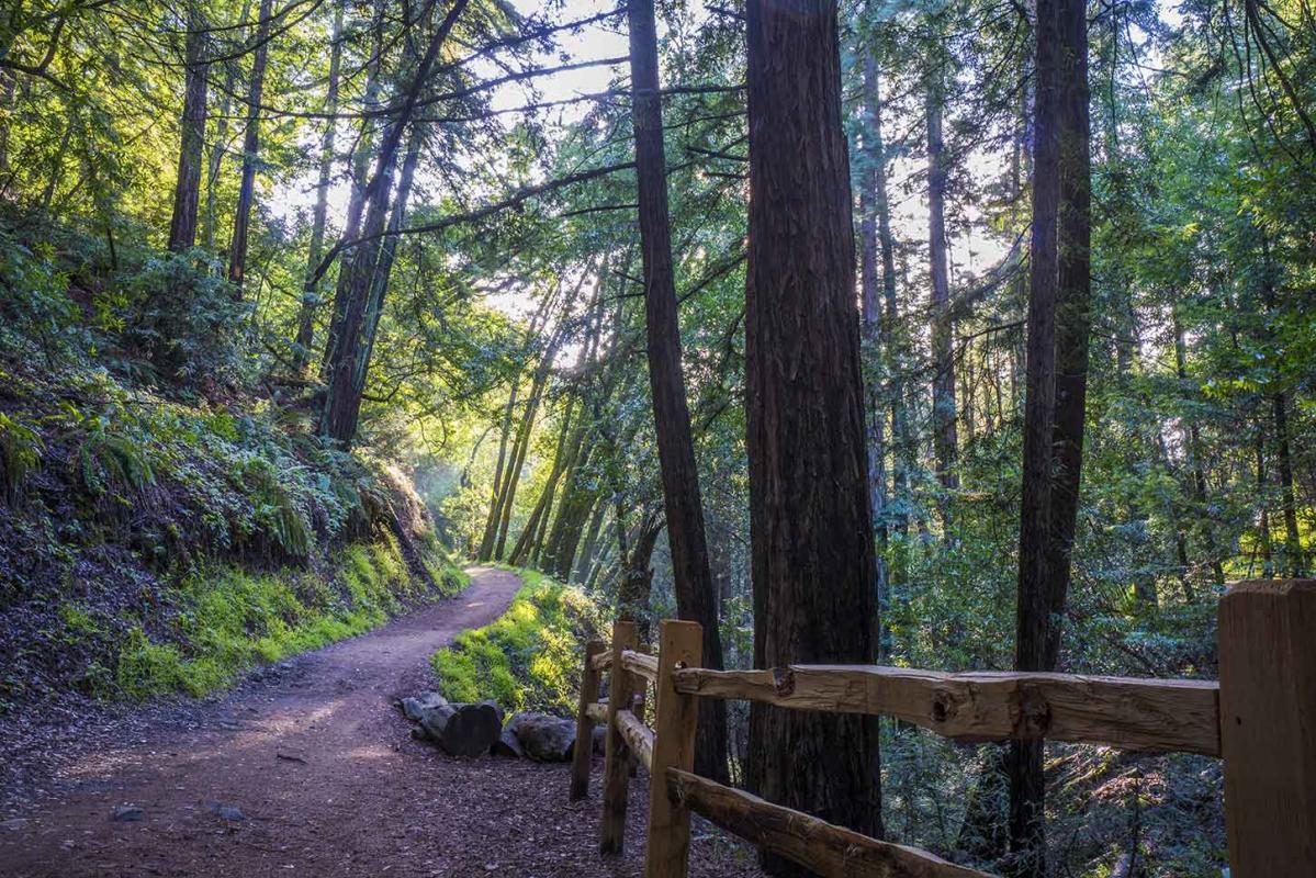Sunset Smoke Sesh at Joaquin Miller Park